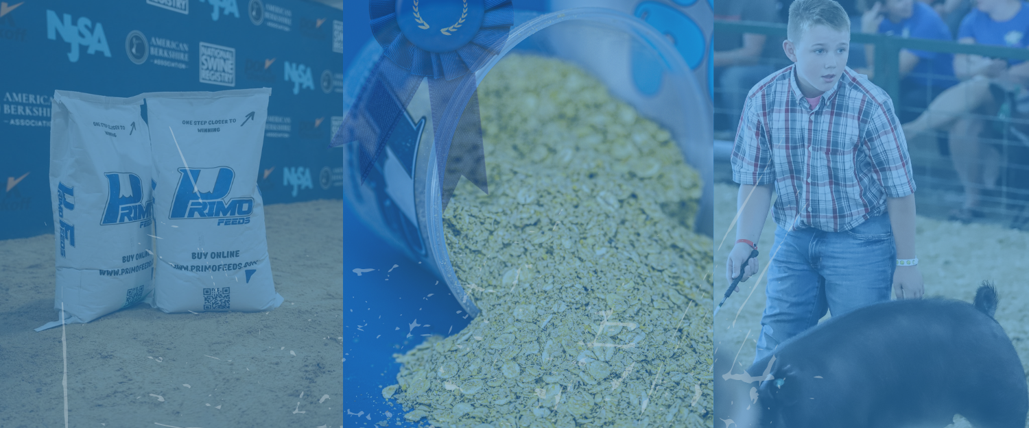 Primo Show Feeds at Johnson Feed Co.